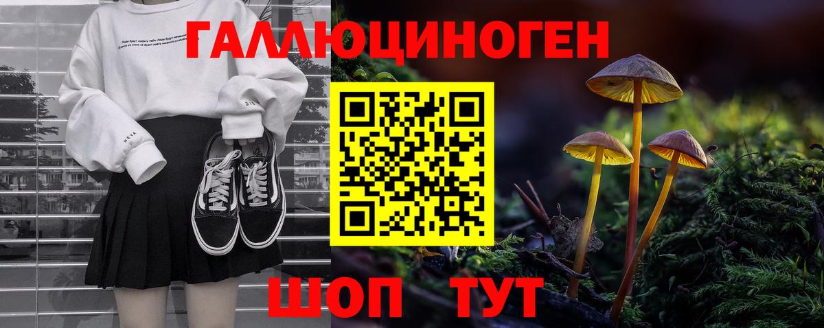 Аксай  Псилоцибиновые грибы ЛСД  Вход с VPN 